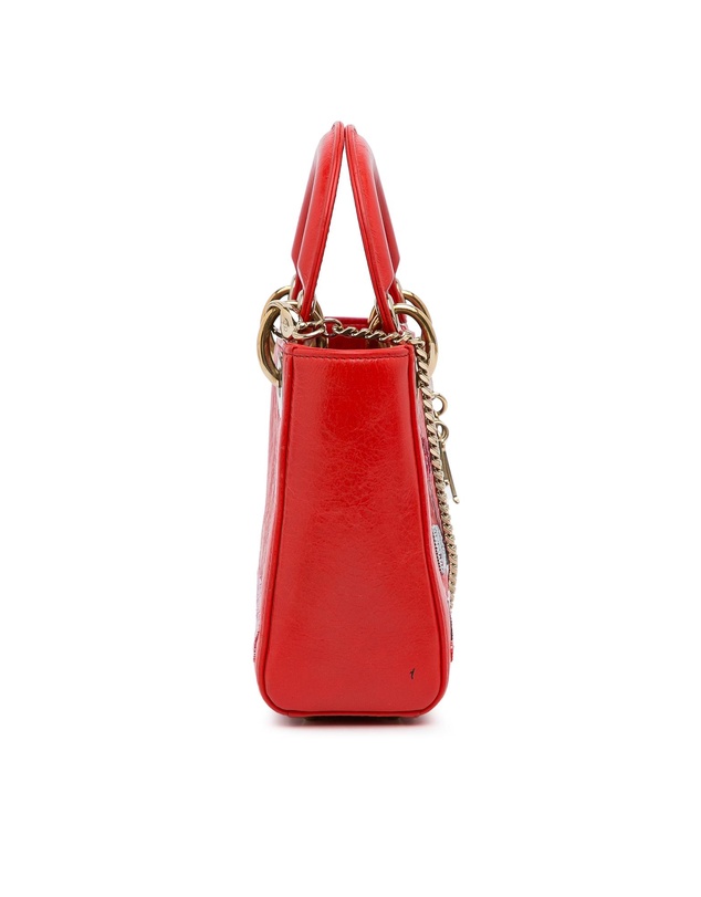 Pre-Loved by Azura Reborn - Pre-Loved dior Lady Dior Mini Bag Embroide