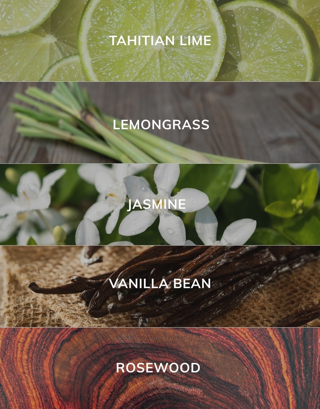 Caitlin Louise Collection - Lemongrass & Tahitian Lime Artist Candle
