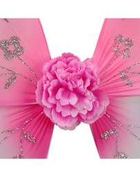 Pink Poppy - Dreamy Unicorn Wire Wings