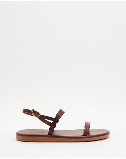 Chestnut