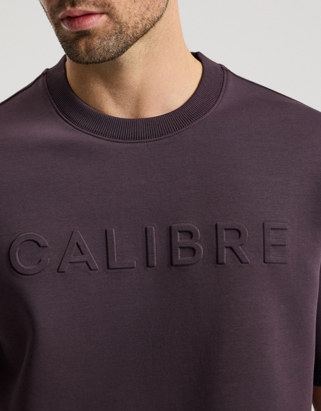 Calibre - Relaxed Fit Logo Sweat T-shirt Plum