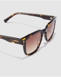 Hawkers Co - HAWKERS Pierre Gasly Stack Carey Sunglasses for Men and Women UV400