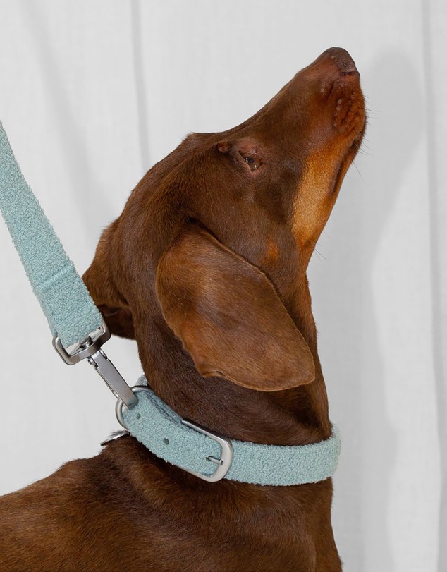 Lilly + Dash - Dog Walking Set – Matching Leash, Waste Bag Holder and Collar
