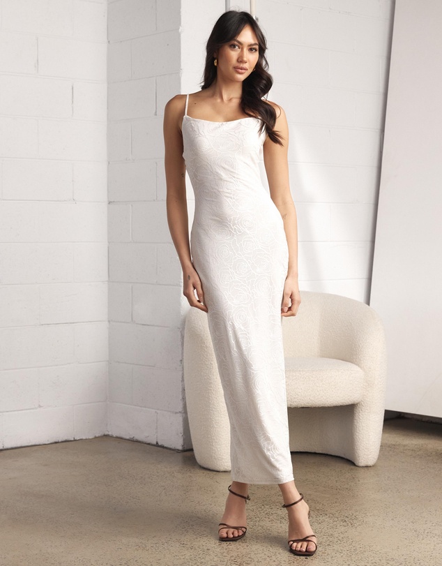 Dazie - Desert Rose Mesh Maxi Dress