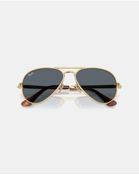 Ray-Ban - Aviator Max