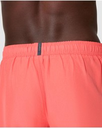 Speedo - Prime Leisure 16in Watershorts
