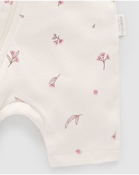 Purebaby - S/S Short Leg Zip Growsuit-Babies