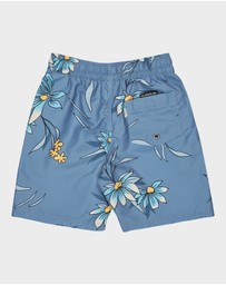 Quiksilver - Boys 2 to 7 Everyday 13