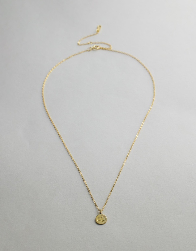 Native Sol - Aquarius Star Sign Pendant Necklace