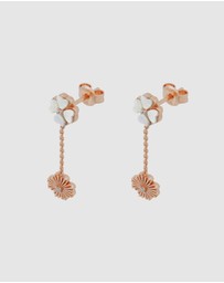 Emporio Armani - Sentimental Rose Gold Earring