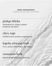 Ere Perez - Ginkgo Micellar Cleanser