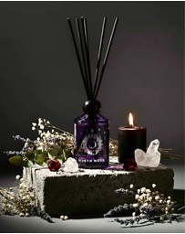 North Muse - Cosmic Dreamer - Lavender & Mint Diffuser