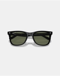 Ray-Ban - 0RB4420