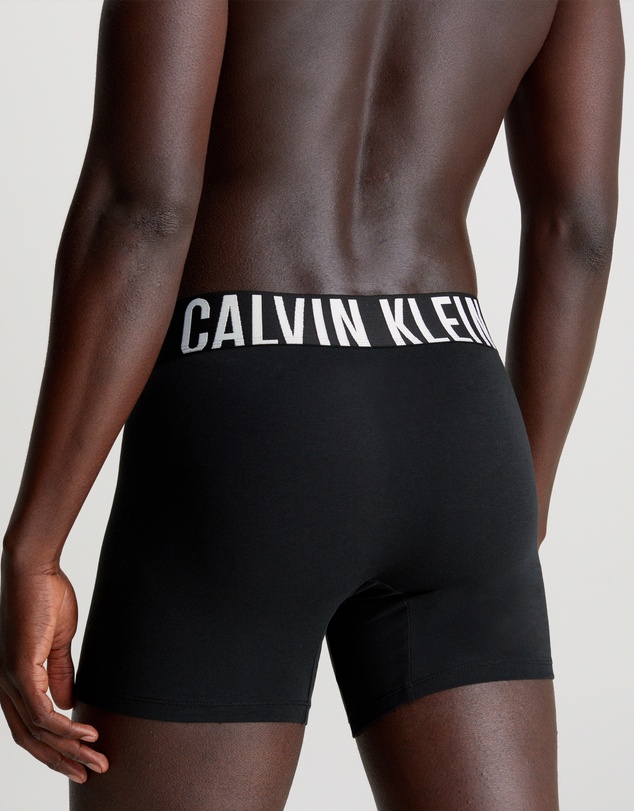 Calvin Klein - Intense Power Cotton 3 Pack Boxer Briefs