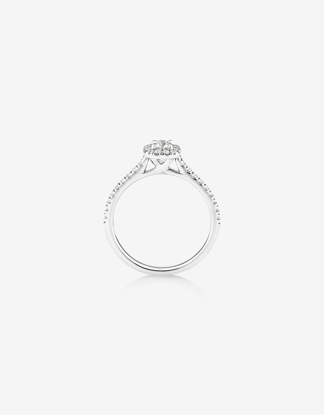 Michael Hill - Engagement Ring with 1/2 Carat TW of Diamonds in 14kt White Gold