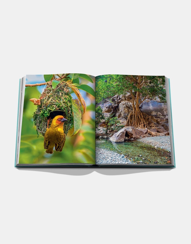 Assouline  - Red Sea: The Saudi Coast