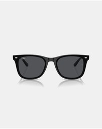 Ray-Ban - 0RB4420