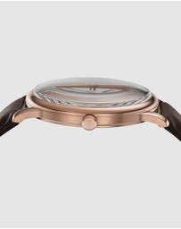 Emporio Armani - Brown Analogue Watch