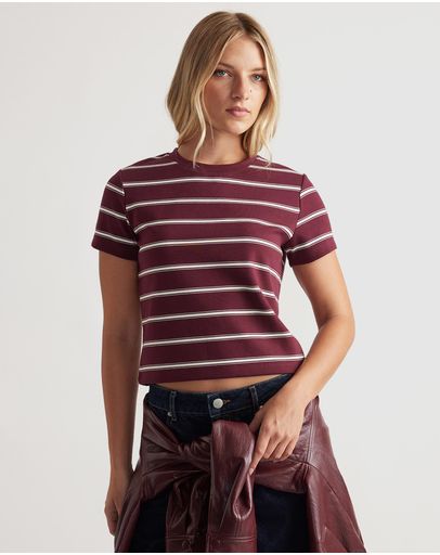 Plum Ivory Stripe