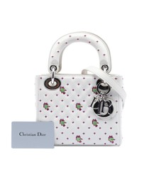 Pre-Loved by Azura Reborn - Pre-Loved Mini Embroidered Calfskin Lady Dior