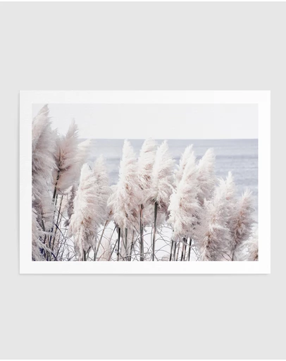 Olive et Oriel - Pampas By The Sea Art Print