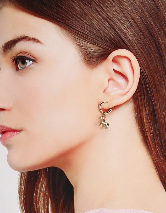 ALDO - Galloura Earrings