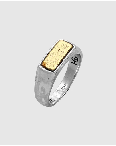 Haze & Glory - ICONIC EXCLUSIVE - Alive Signet Ring in 925 Silver