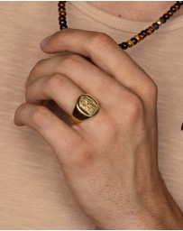 Nialaya Jewellery - Men's Stainless Steel Lion Crest Ring with Gold Plating