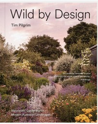 Brumby Sunstate - Wild by Design