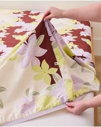 Sheet Society - Eden Cotton Full Sheet Set