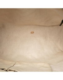 Pre-Loved by Azura Reborn - Pre-Loved GG Canvas Web Crossbody