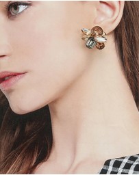 ALDO - Brocla Earrings