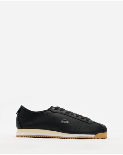 Black & Gum