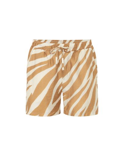 Sand Zebra