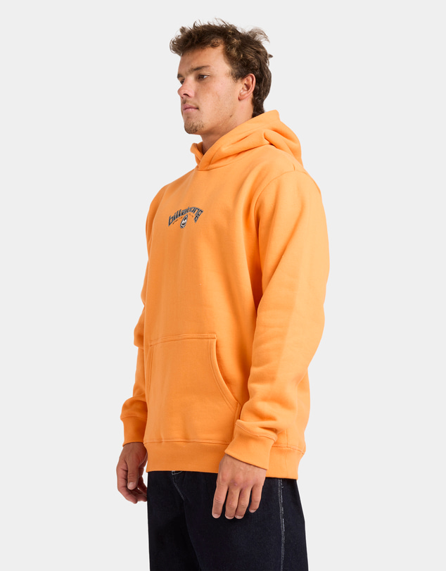 Billabong - Mens Spec Bio Arch Pullover Hoodie