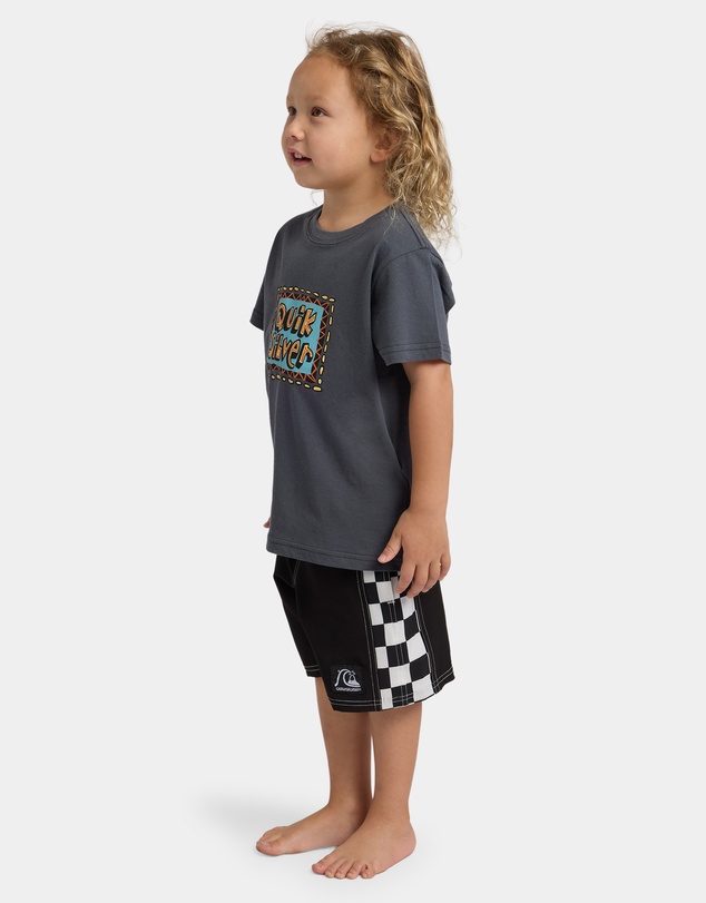 Quiksilver - Boys 2 to 7 Retro Stack T-Shirt