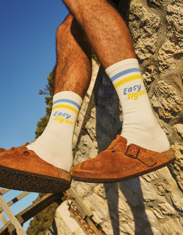 Skwosh - Easy Tiger Socks in Multi Stripe