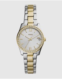 Fossil - Scarlette Mini Analogue Watch