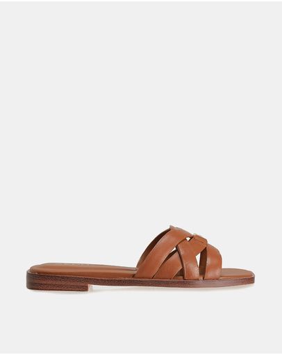 Medium Brown