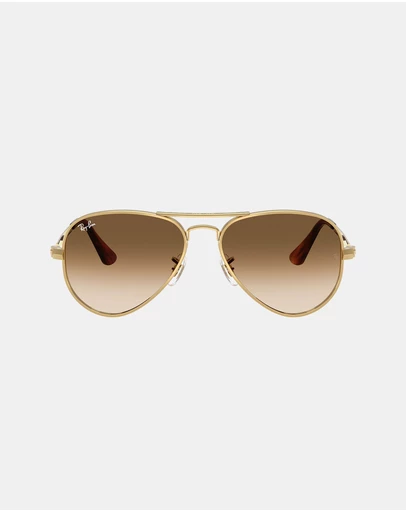 Ray-Ban - Aviator Max 0RB3925