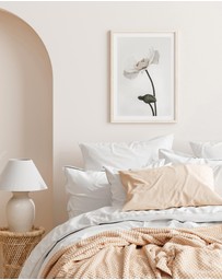 Olive et Oriel - White Poppy III Art Print
