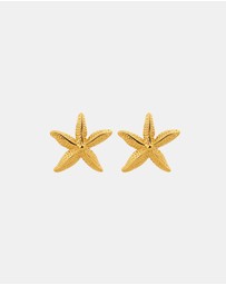 Zoe Olivia - Waterproof Textured Starfish Stud Earrings