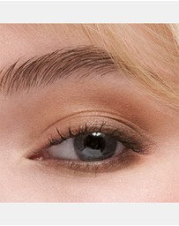 Estee Lauder - The Essential Eyeshadow Quad