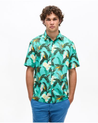 Paradise Bird Aqua