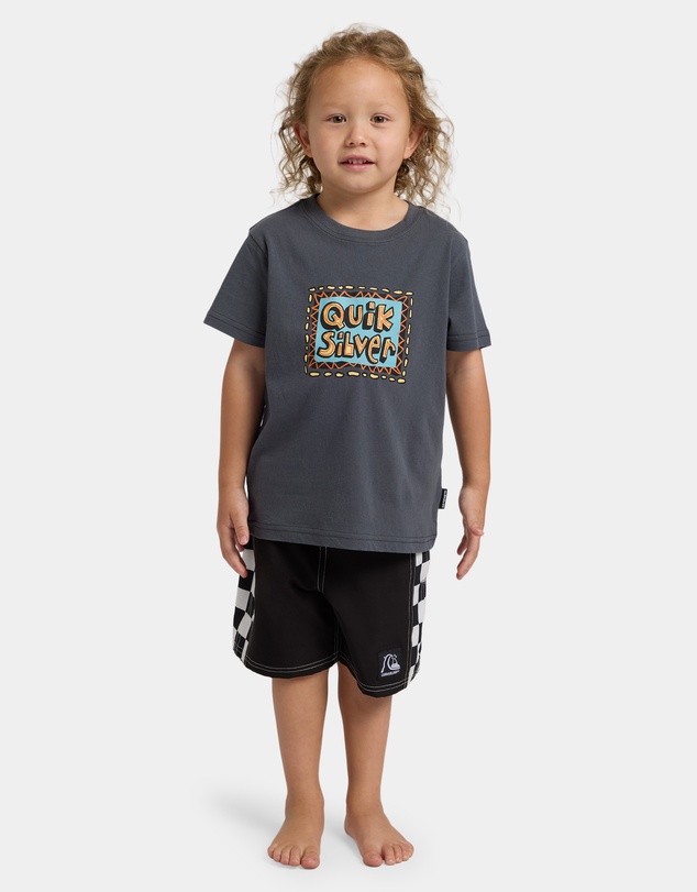 Quiksilver - Boys 2 to 7 Retro Stack T-Shirt