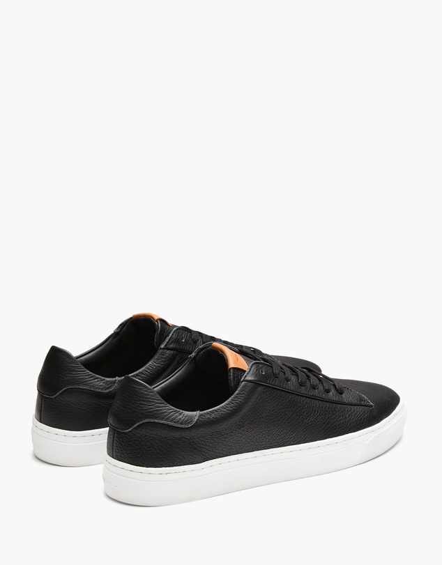 Aquila - Deco 2.0 Sneakers