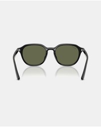 Ray-Ban - RB4459D