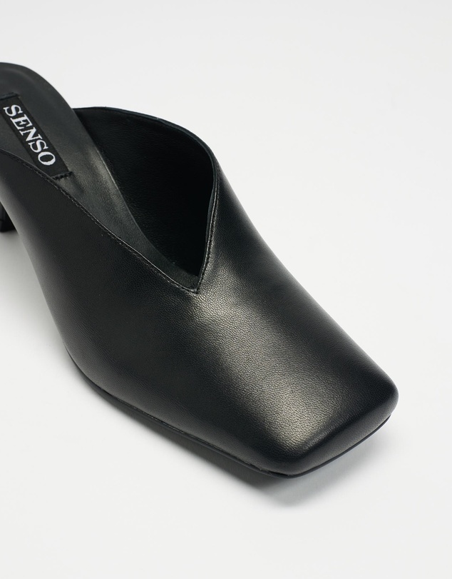 Senso - Jaynee