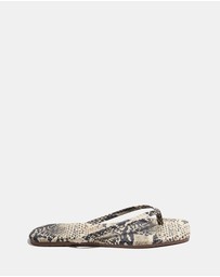 Tkees - Lily Square Toe Exotics