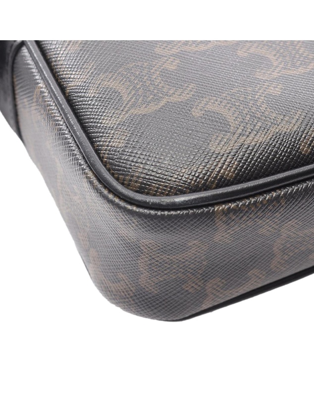 Pre-Loved by Azura Reborn - Pre-Loved Medium Triomphe Camera Bag